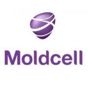 large_moldcell_1.jpg